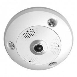 IP Fisheye: 12MP Fisheye, Exterior